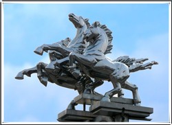 廣場(chǎng)大型銅馬